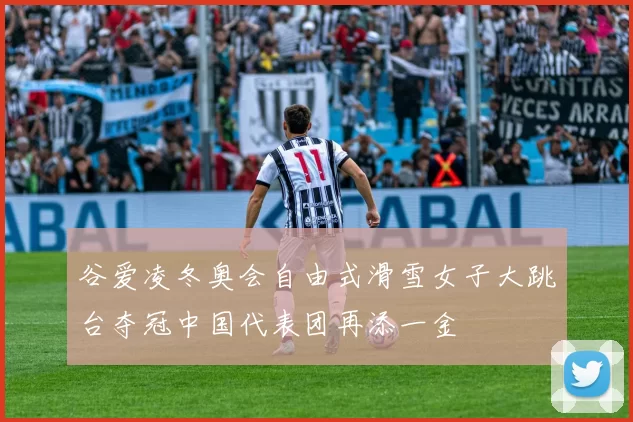 谷爱凌冬奥会自由式滑雪女子大跳台夺冠中国代表团再添一金