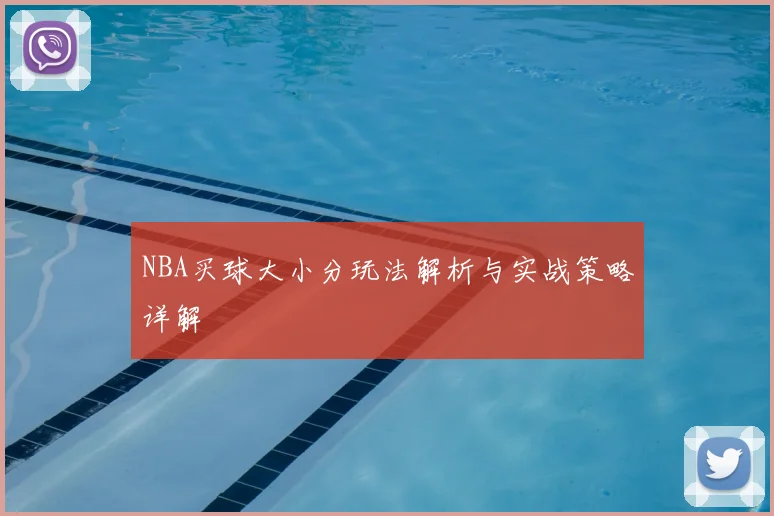 NBA买球大小分玩法解析与实战策略详解
