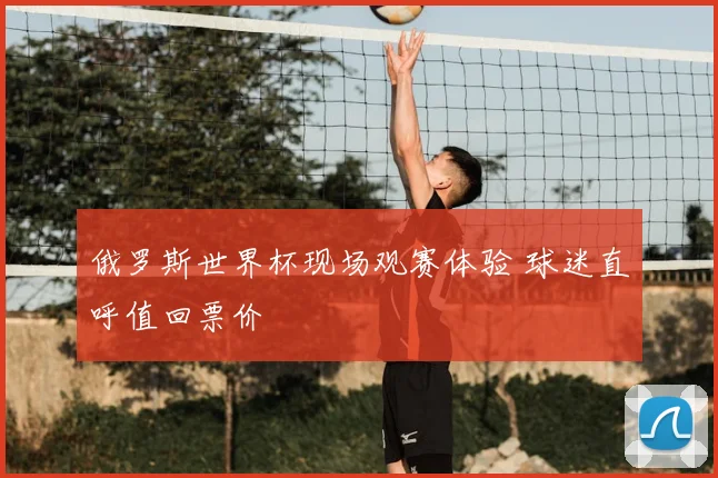 俄罗斯世界杯现场观赛体验 球迷直呼值回票价