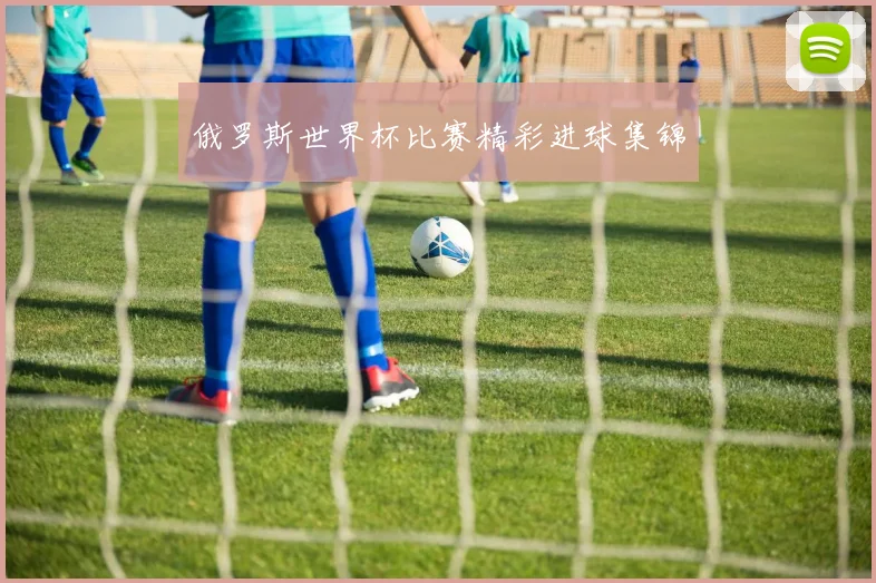 俄罗斯世界杯比赛精彩进球集锦